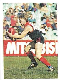 1991 Select AFL Stickers #164 Ricky Jackson Front
